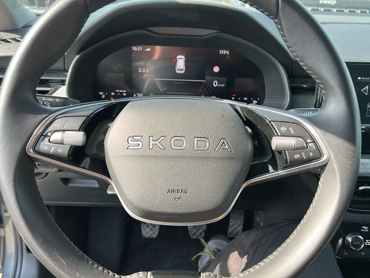 Skoda Kamiq usata a Roma (15)