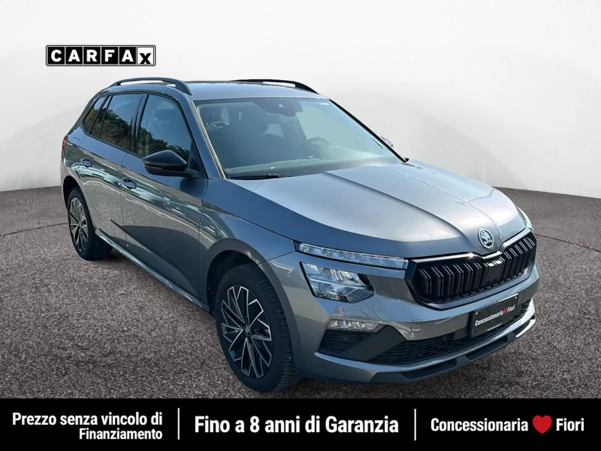 Skoda Kamiq usata a Roma (2)