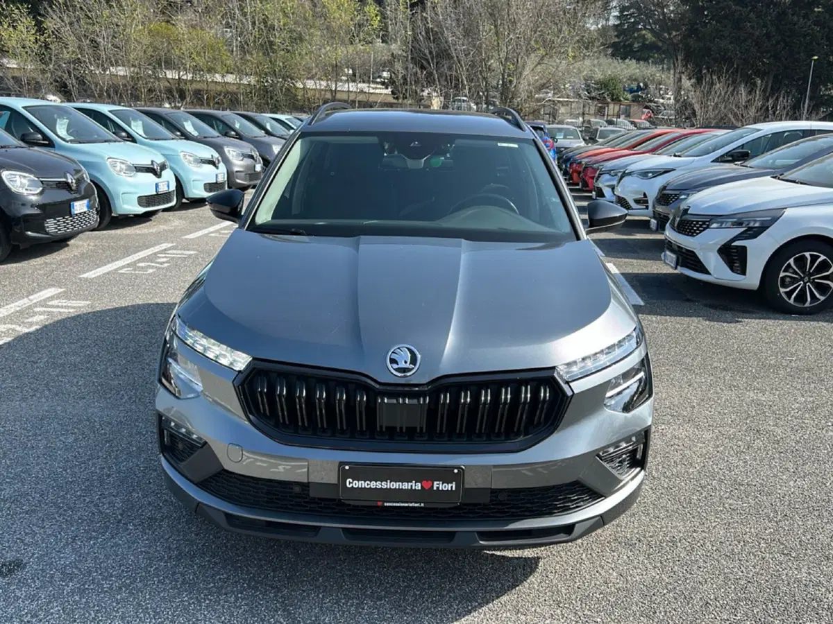 Skoda Kamiq usata a Roma (7)