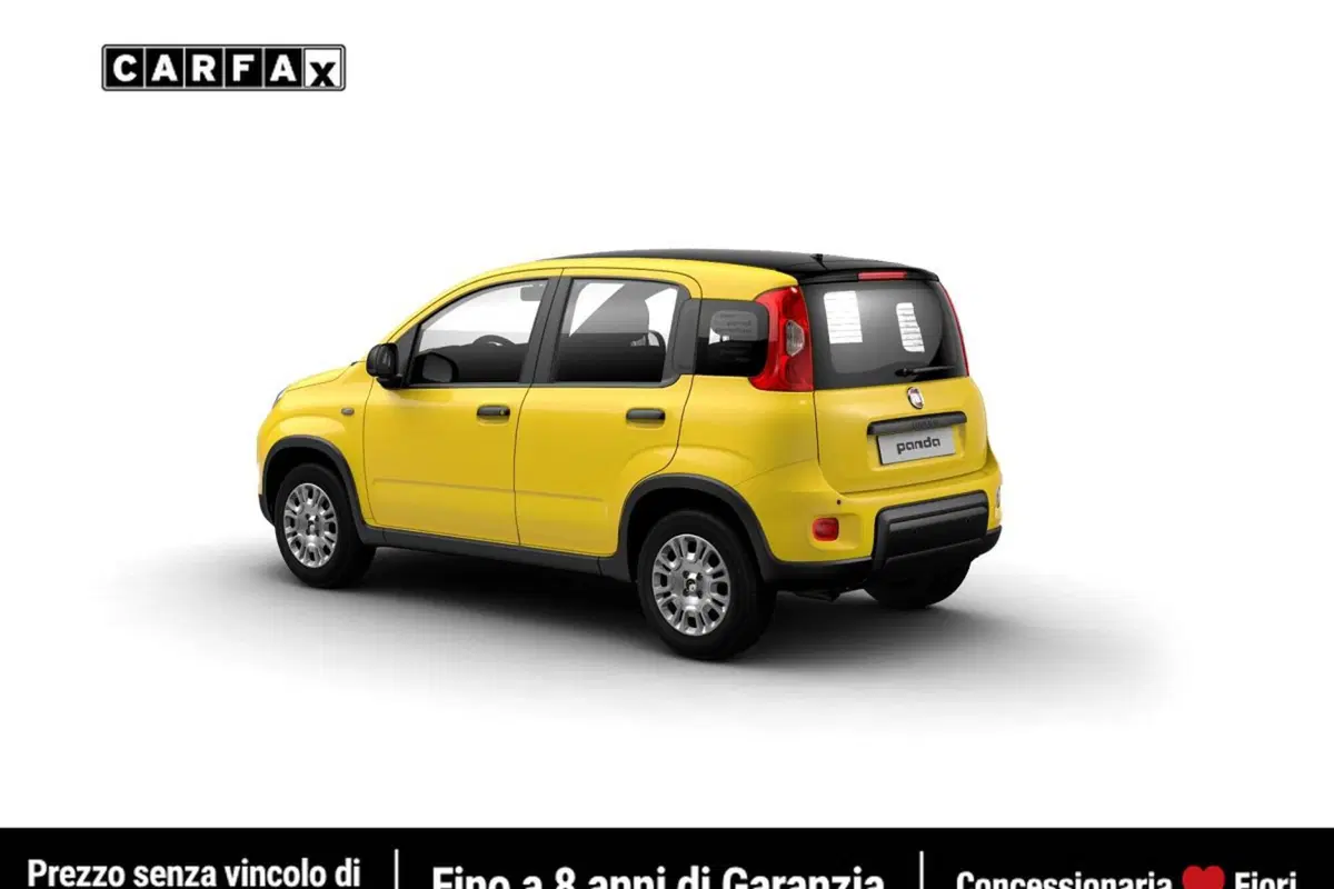 Fiat Pandina usata a Roma (2)