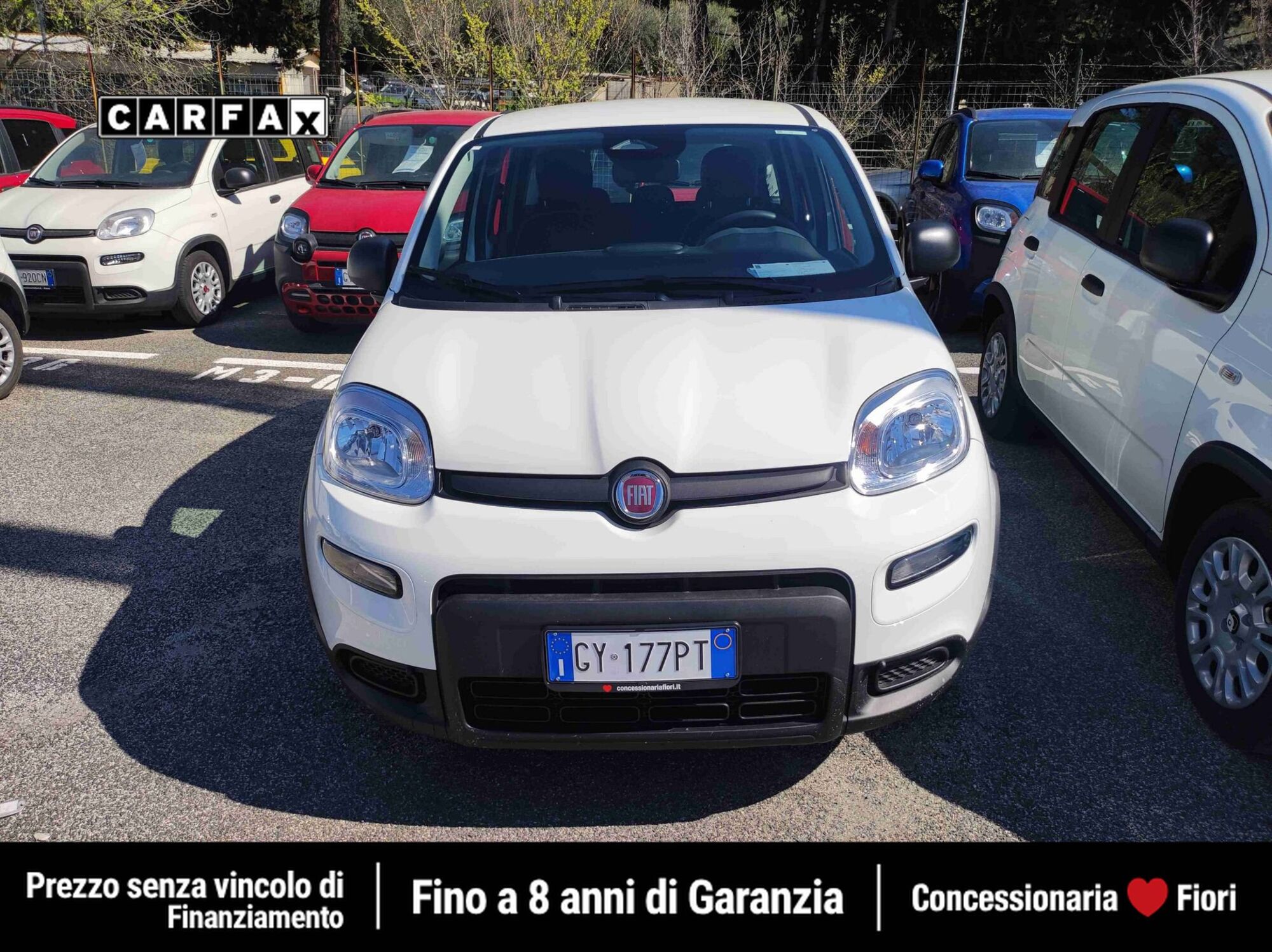 Vendo Fiat Pandina 1.0 firefly hybrid s&s 70cv usata a Roma (codice ...