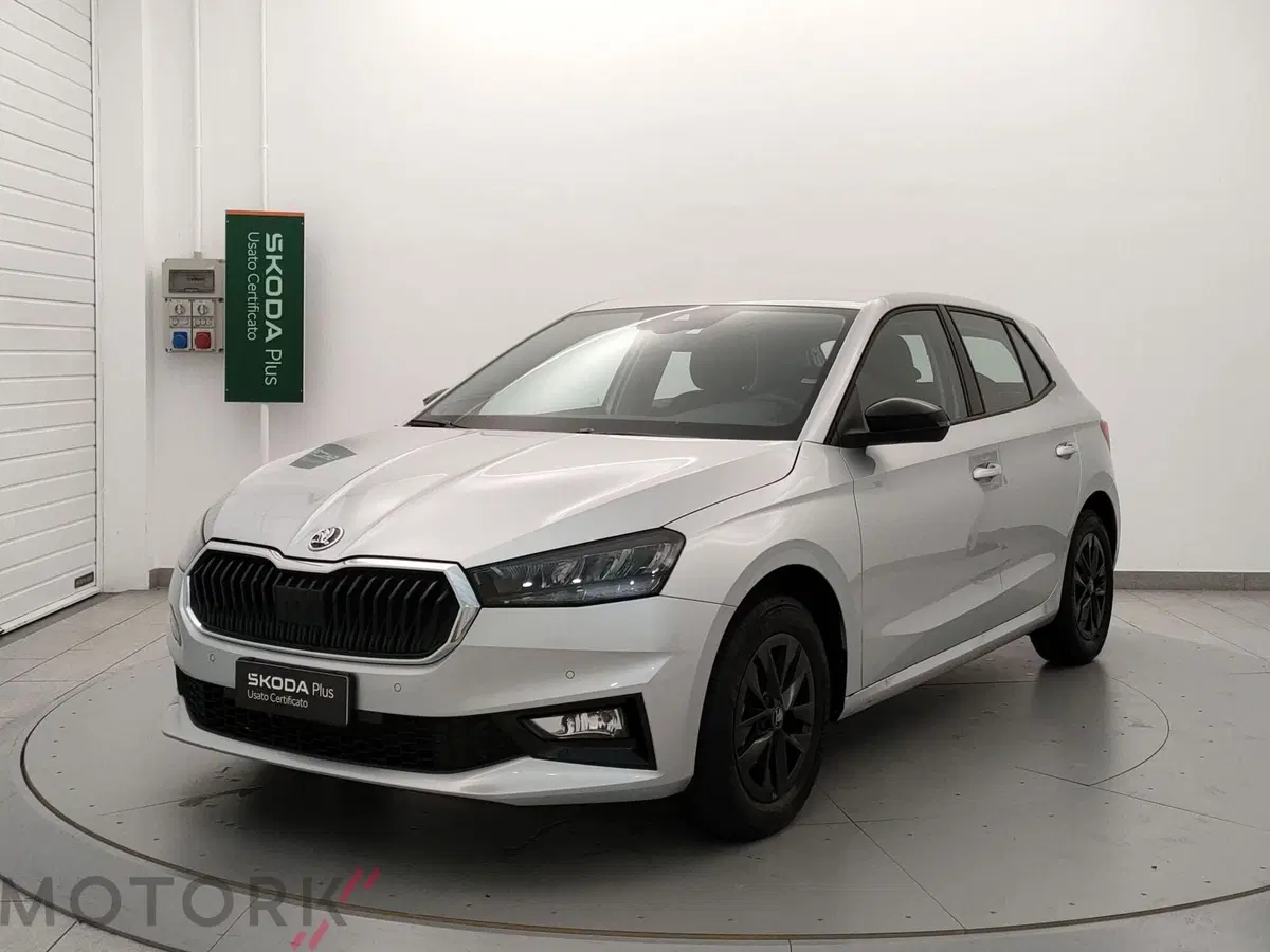 Skoda Fabia usata a Varese