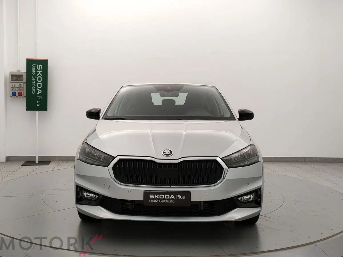 Skoda Fabia usata a Varese (2)
