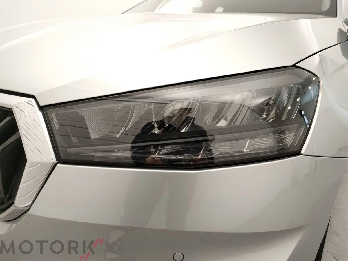 Skoda Fabia usata a Varese (7)