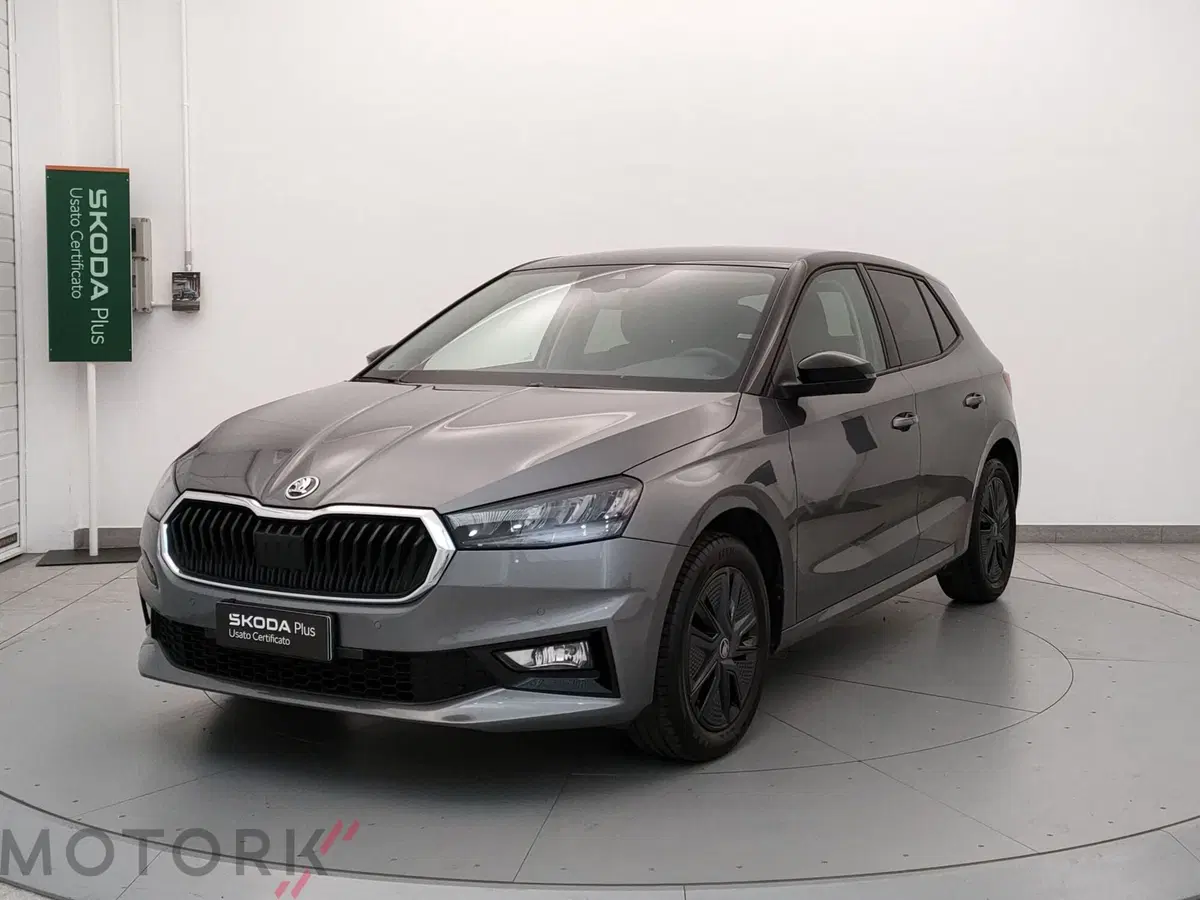 Skoda Fabia usata a Varese