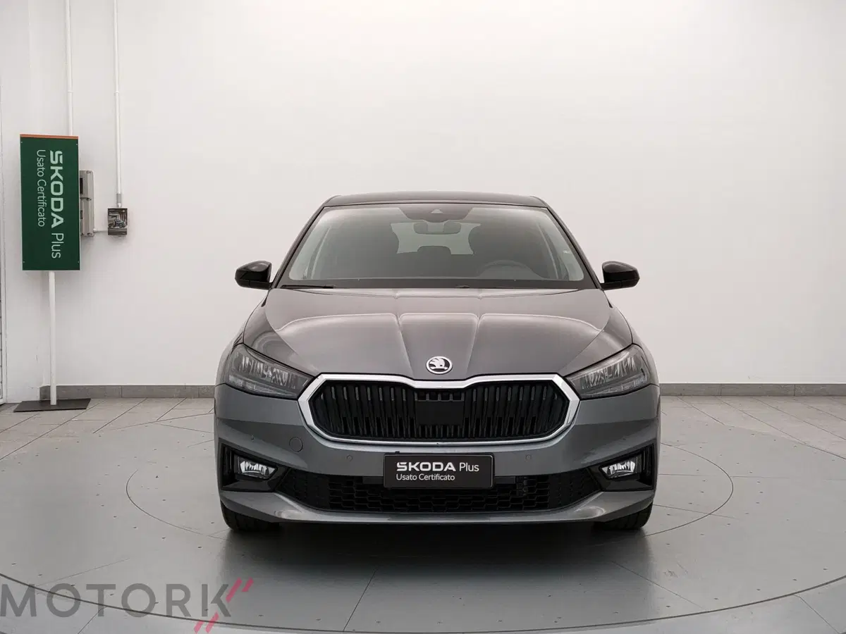 Skoda Fabia usata a Varese (2)