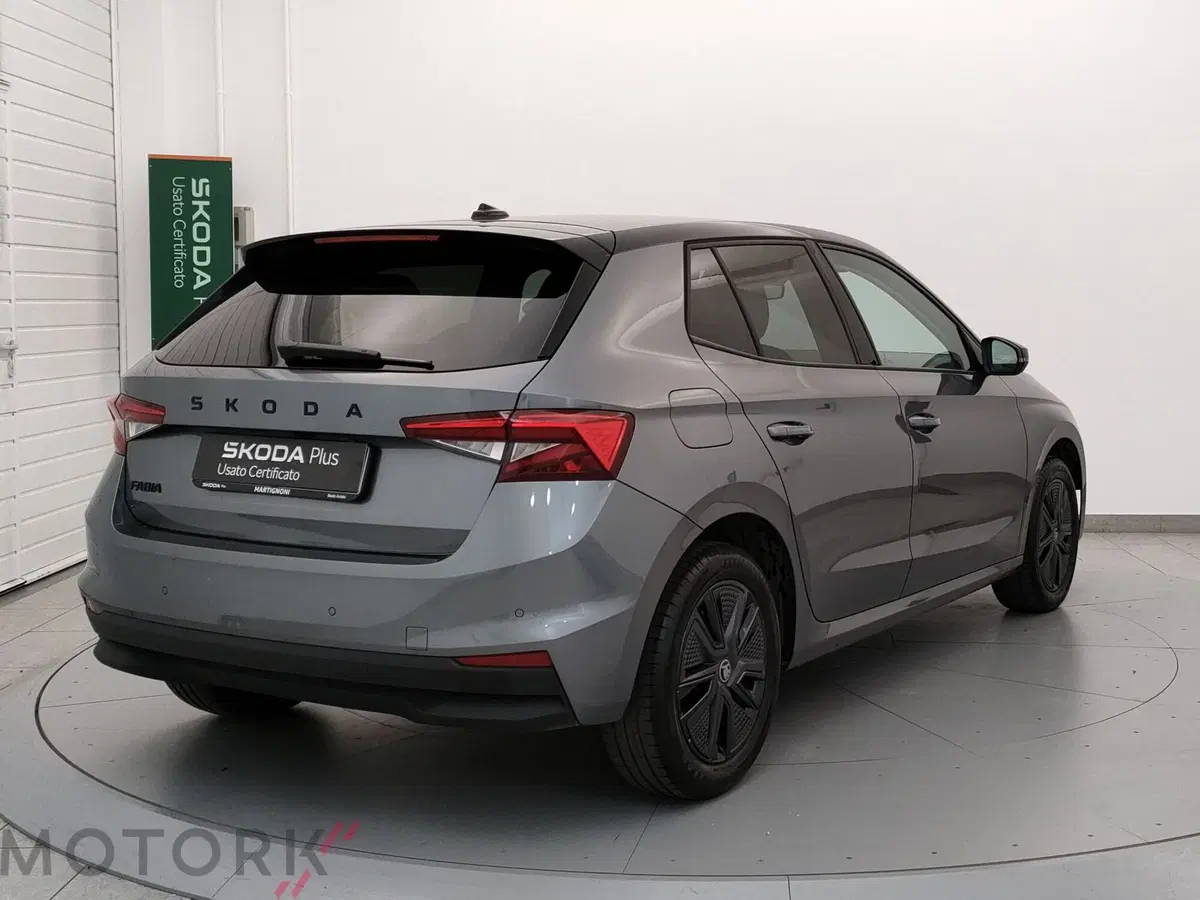 Skoda Fabia usata a Varese (5)