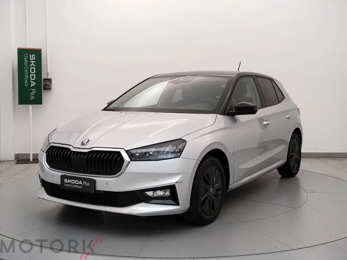 Skoda Fabia usata a Varese
