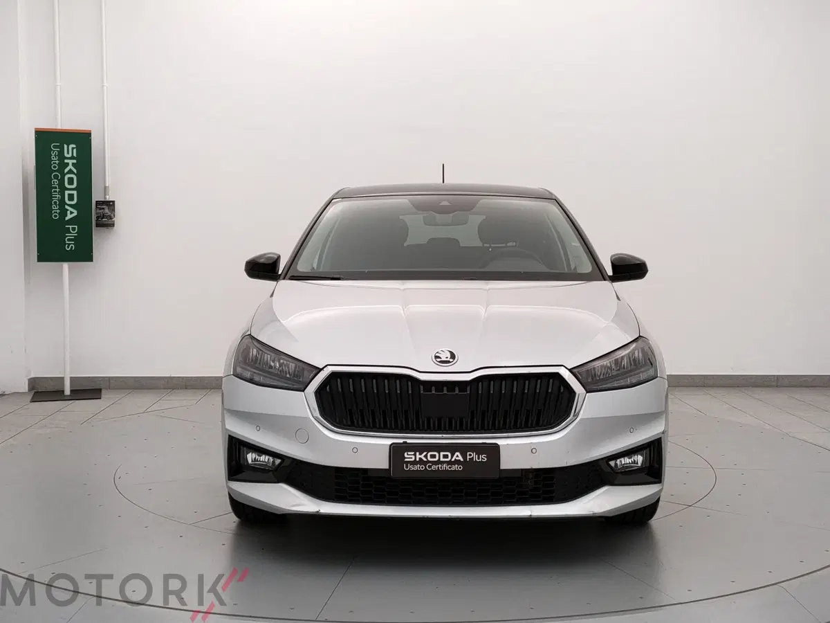 Skoda Fabia usata a Varese (2)