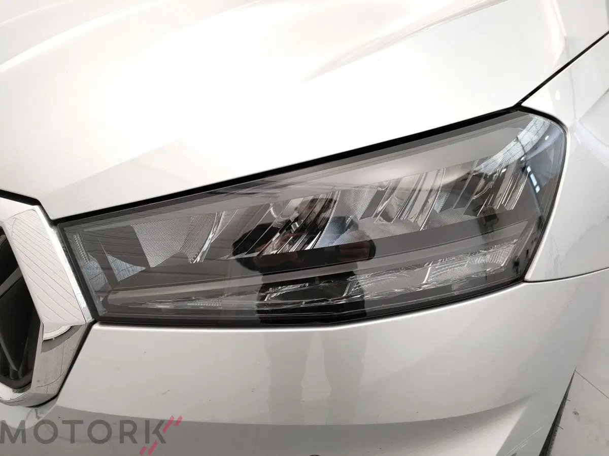 Skoda Fabia usata a Varese (6)