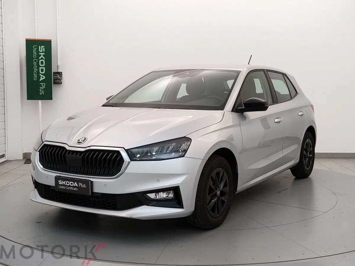 Skoda Fabia usata a Varese