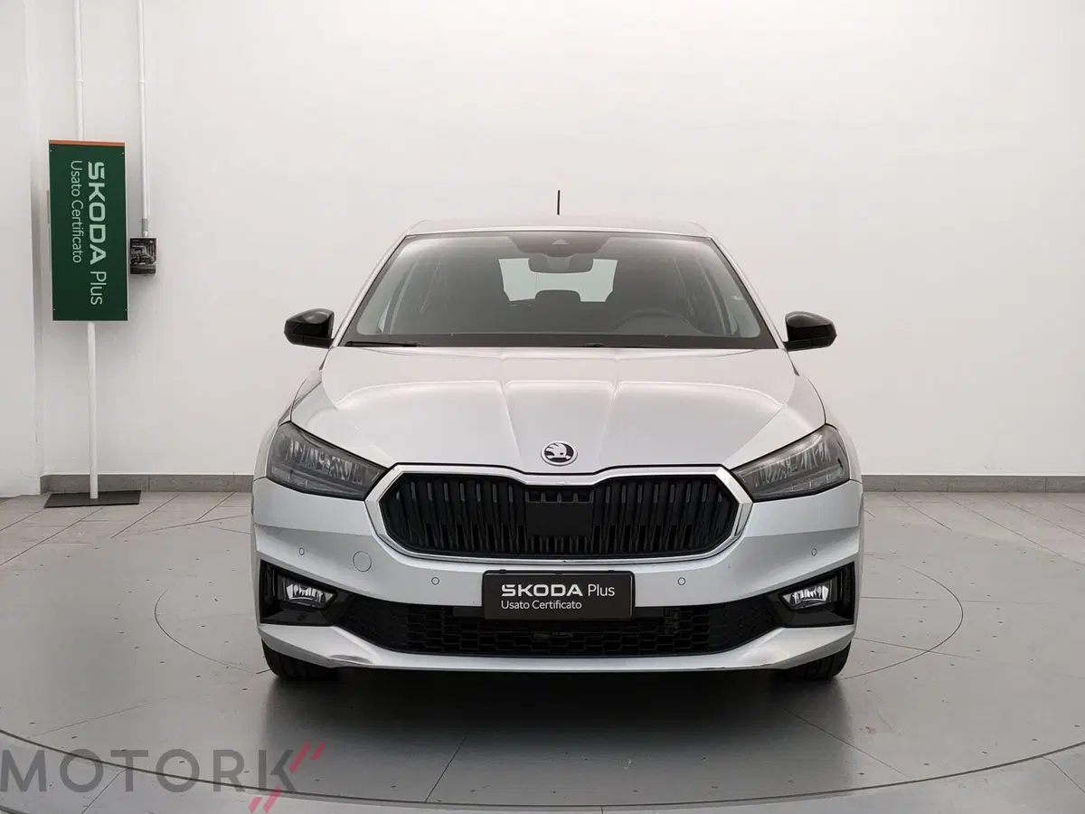 Skoda Fabia usata a Varese (2)