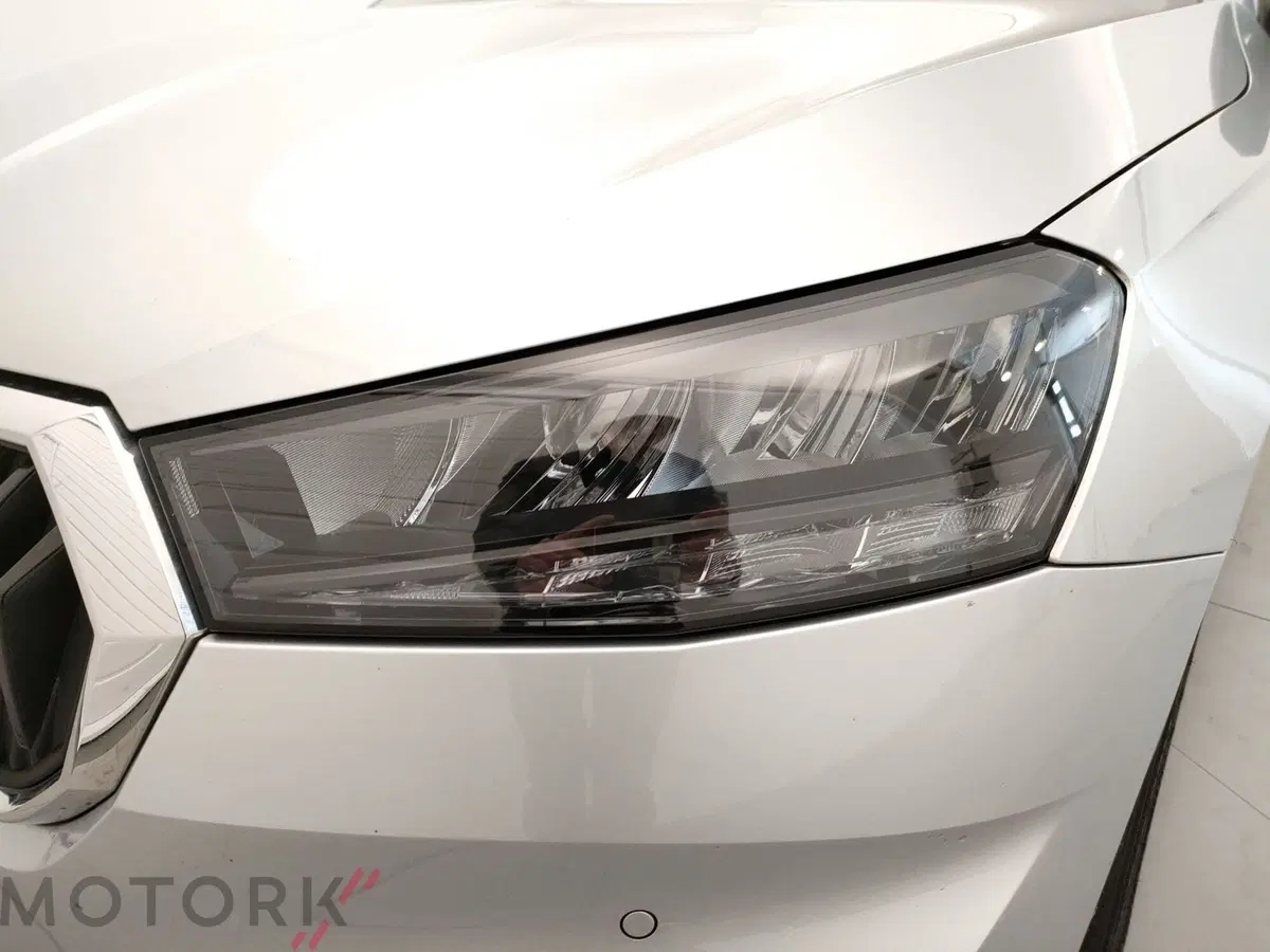 Skoda Fabia usata a Varese (7)