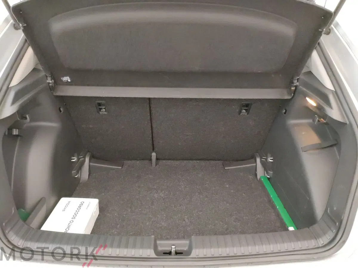 Skoda Fabia usata a Varese (9)