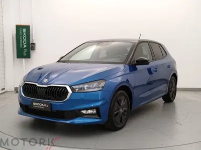 Skoda Fabia 1.0 tsi evo 130 Edition 95cv del 2025 usata a Busto Arsizio