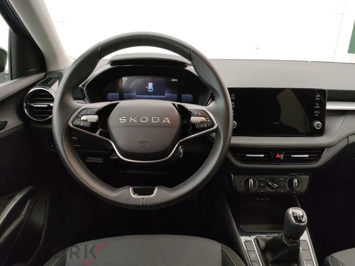 Skoda Fabia usata a Varese (12)