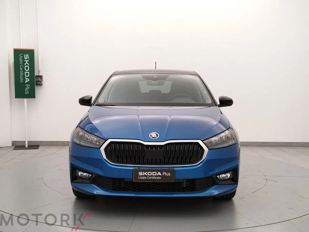 Skoda Fabia usata a Varese (2)