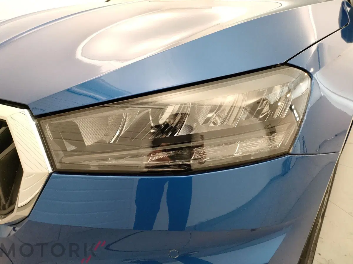 Skoda Fabia usata a Varese (7)