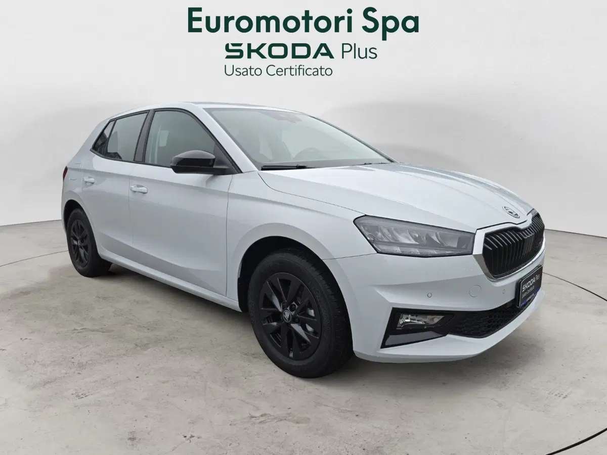 Skoda Fabia nuova a Grosseto (7)