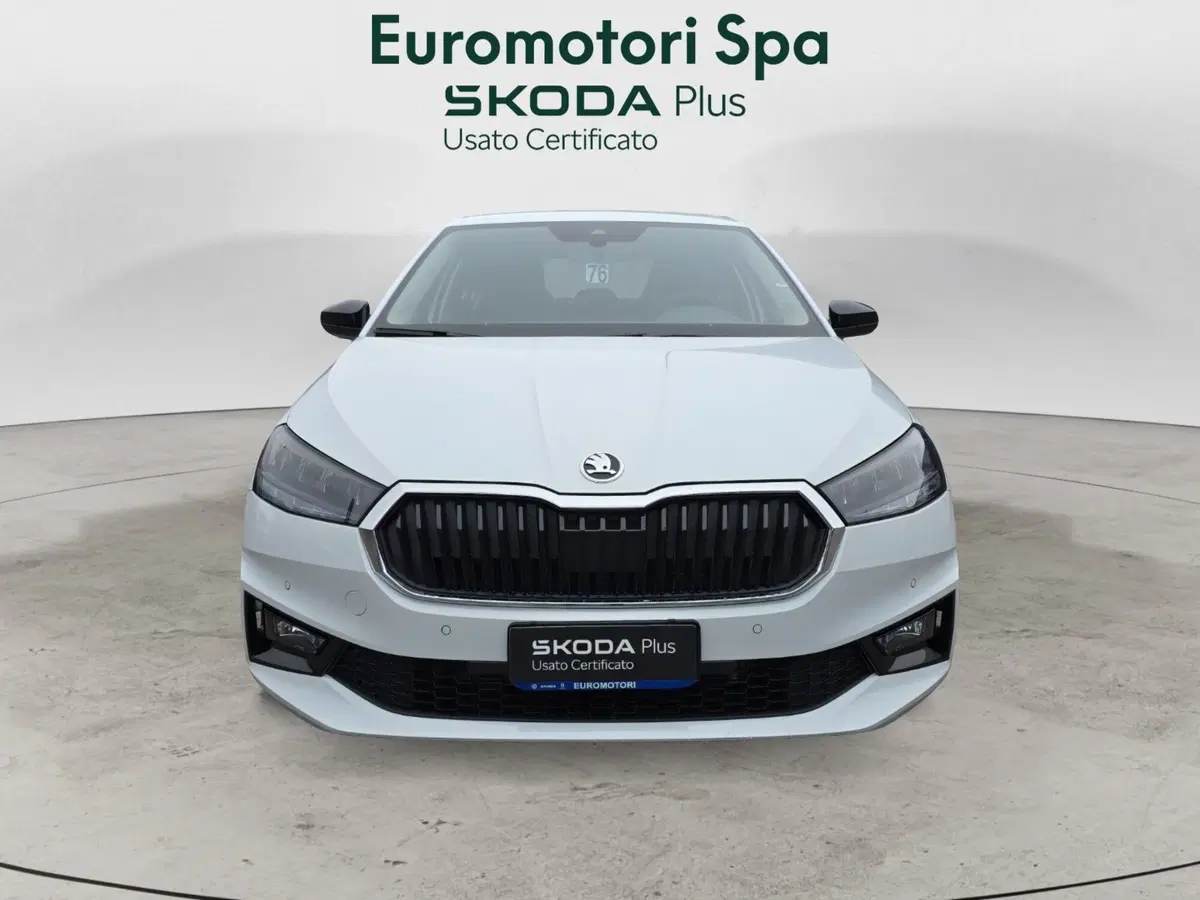 Skoda Fabia nuova a Grosseto (8)