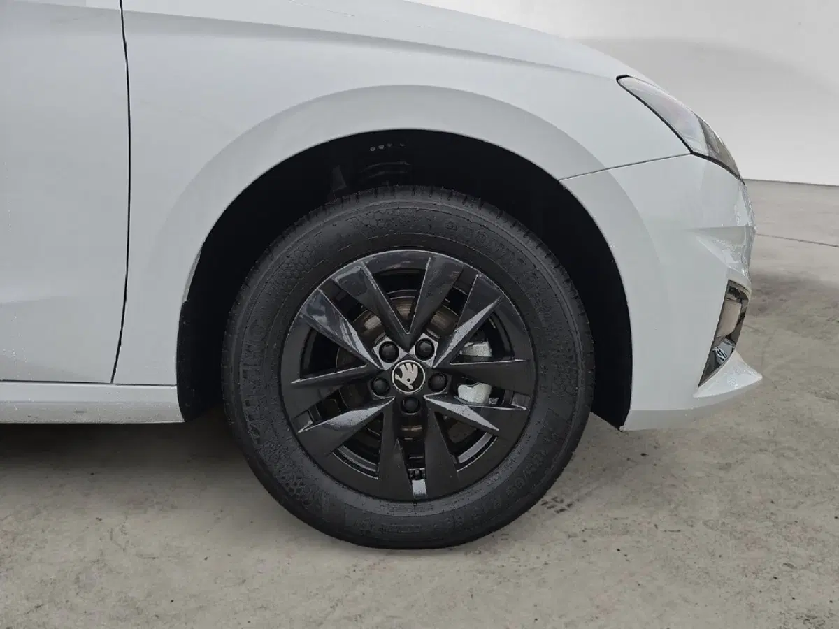 Skoda Fabia nuova a Grosseto (9)
