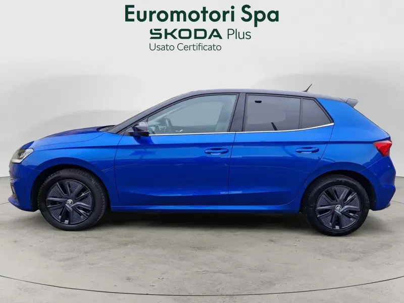 Skoda Fabia usata a Siena (2)