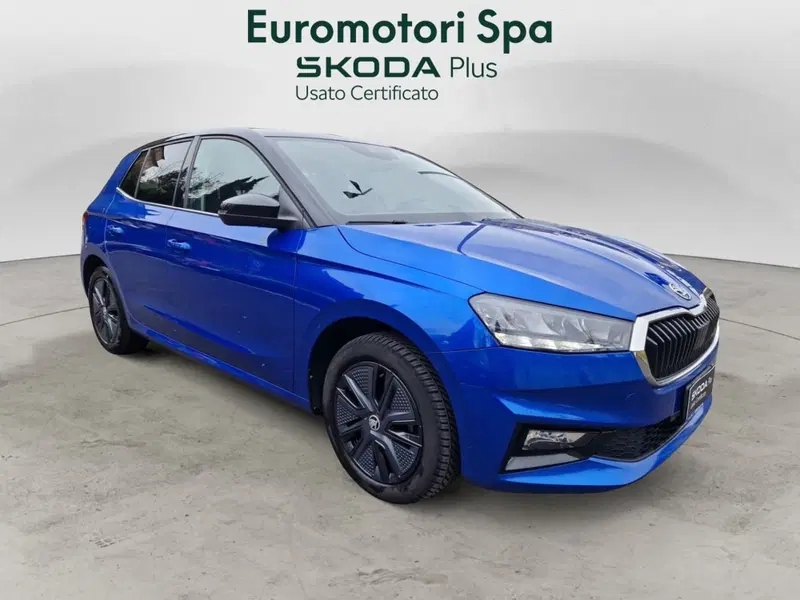 Skoda Fabia usata a Siena (7)