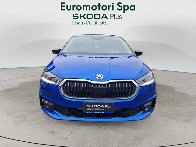Skoda Fabia usata a Siena (8)