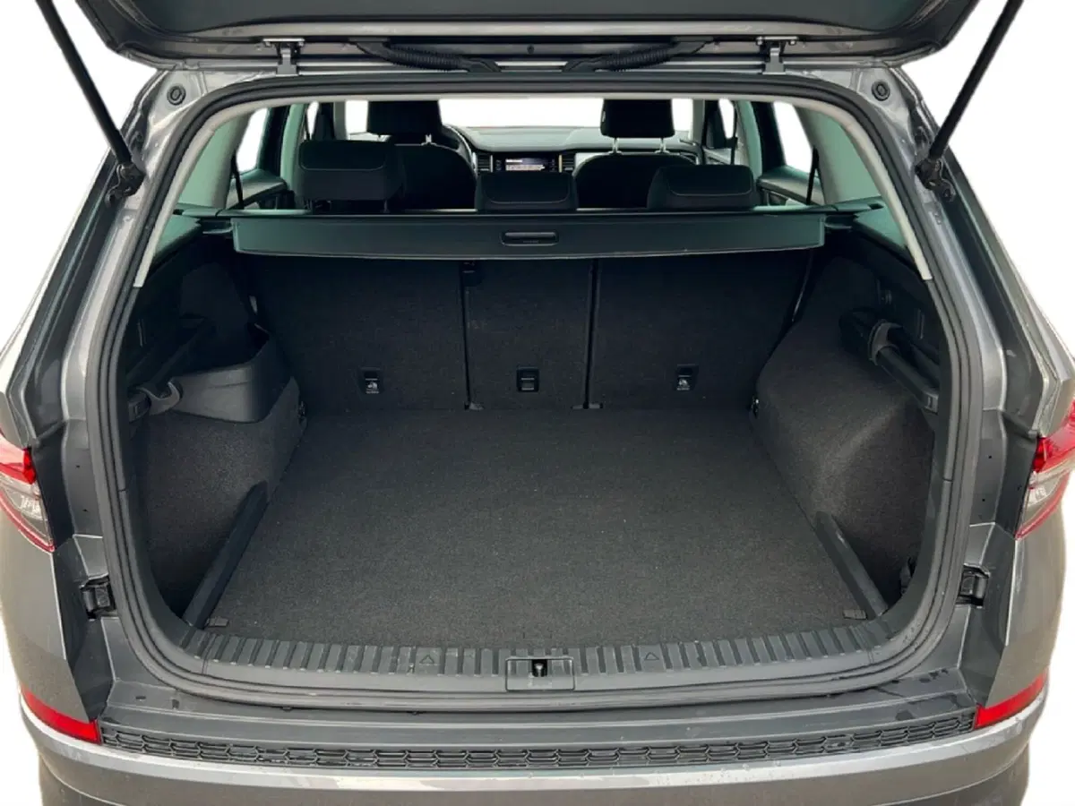 Skoda Kodiaq usata a Siena (10)