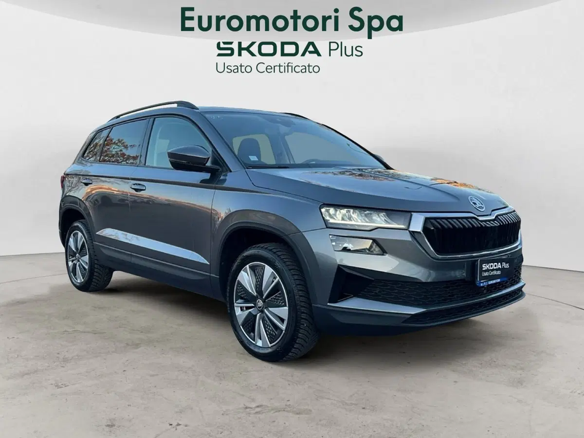 Skoda Karoq usata a Grosseto (7)