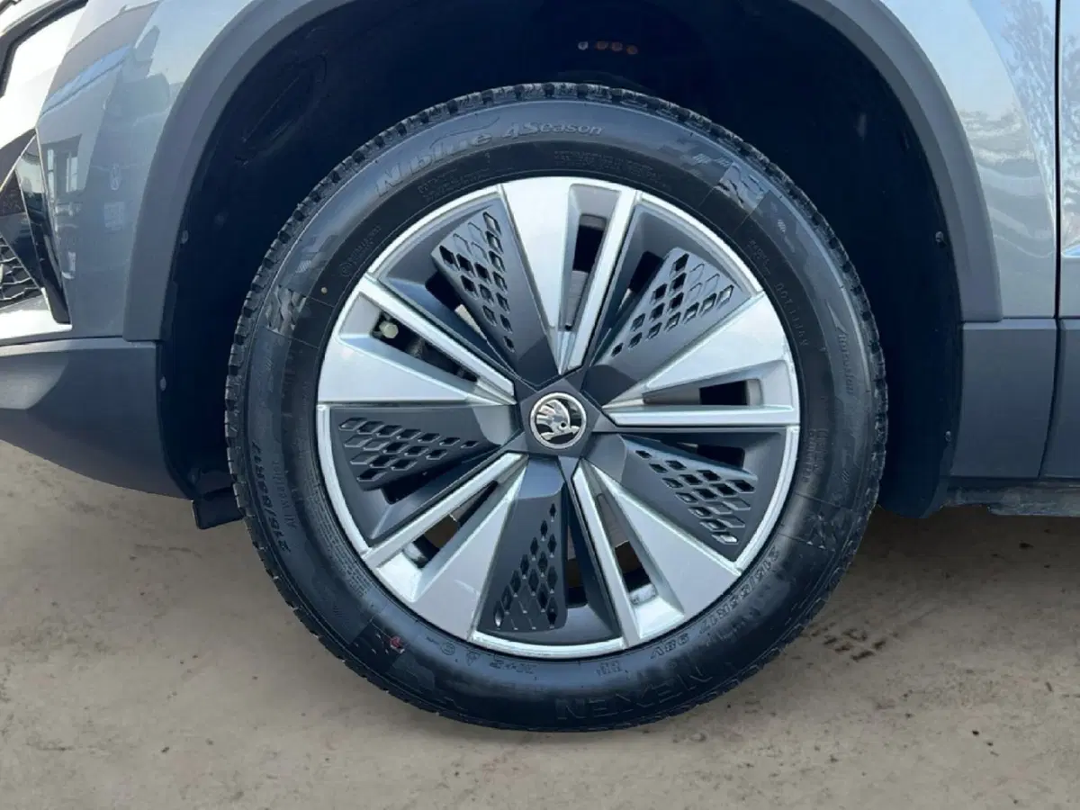 Skoda Karoq usata a Grosseto (9)