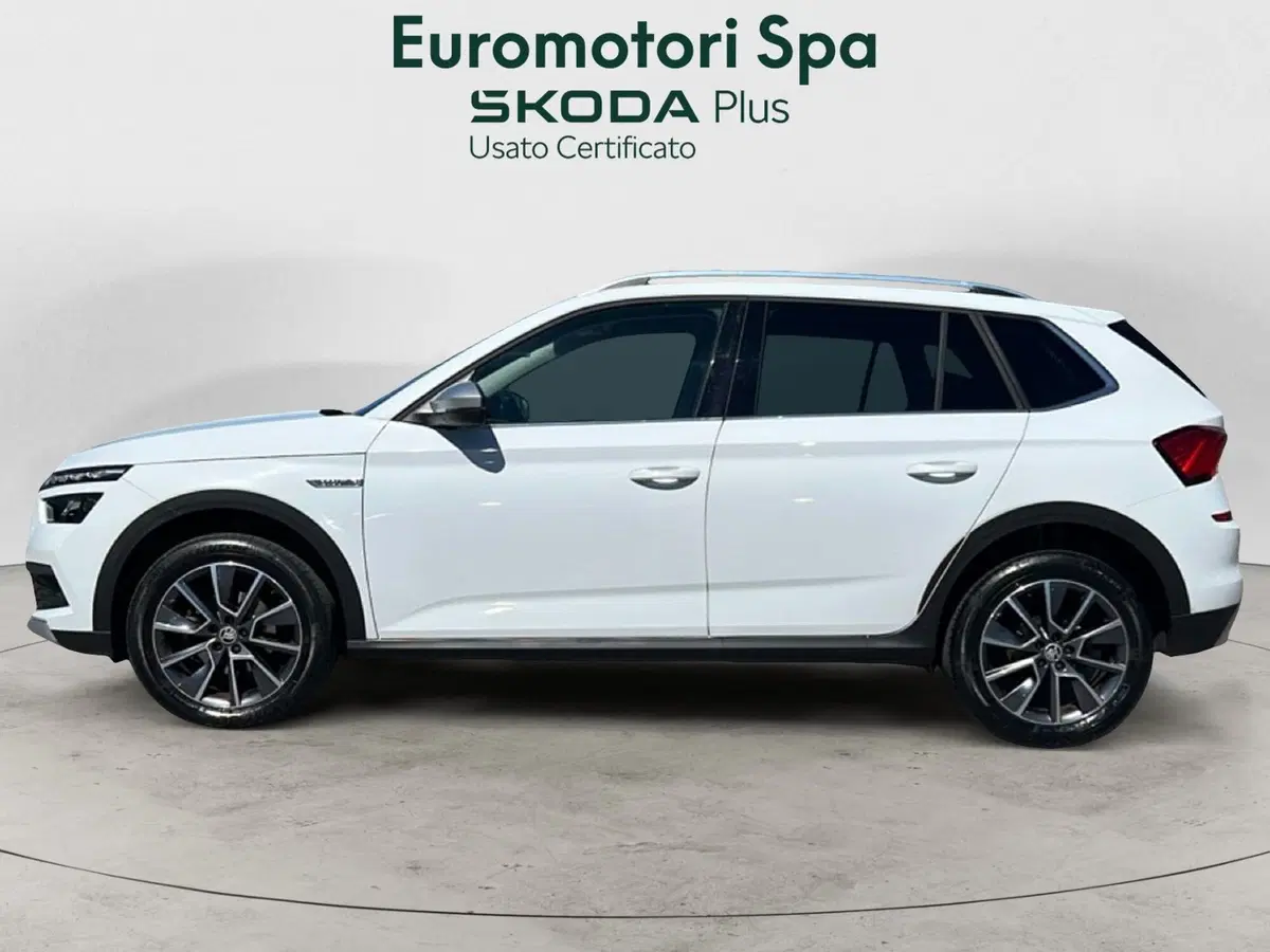 Skoda Kamiq usata a Grosseto (2)
