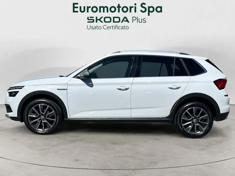 Skoda Kamiq usata a Grosseto (2)