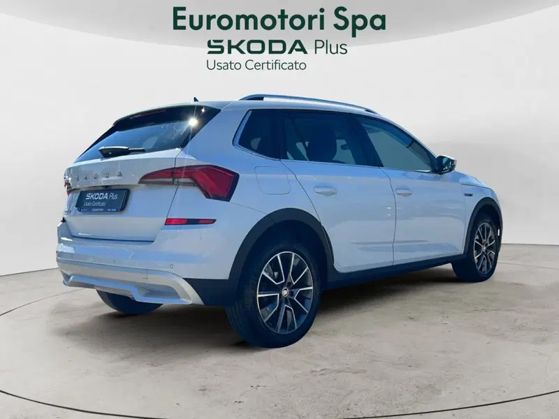 Skoda Kamiq usata a Grosseto (5)
