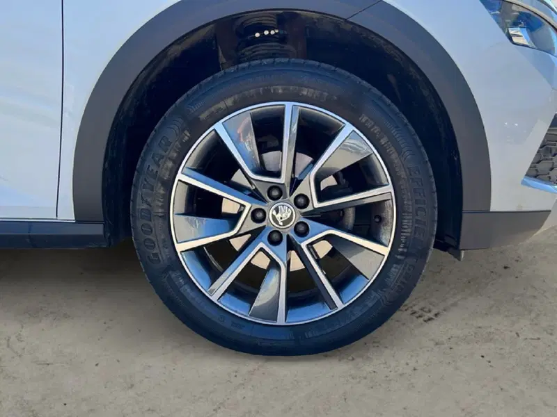 Skoda Kamiq usata a Grosseto (9)