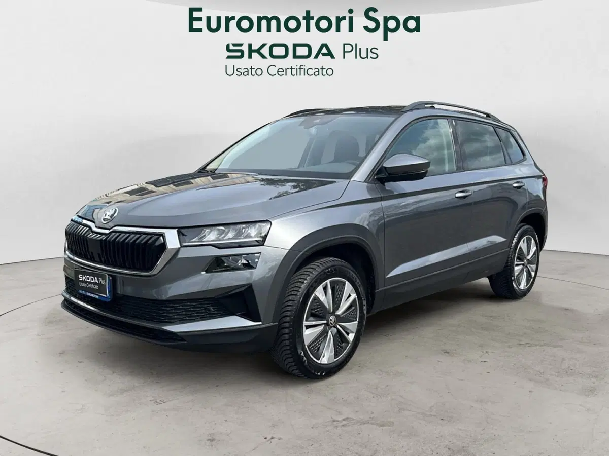 Skoda Karoq usata a Grosseto