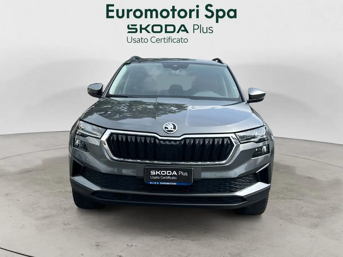 Skoda Karoq usata a Grosseto (8)