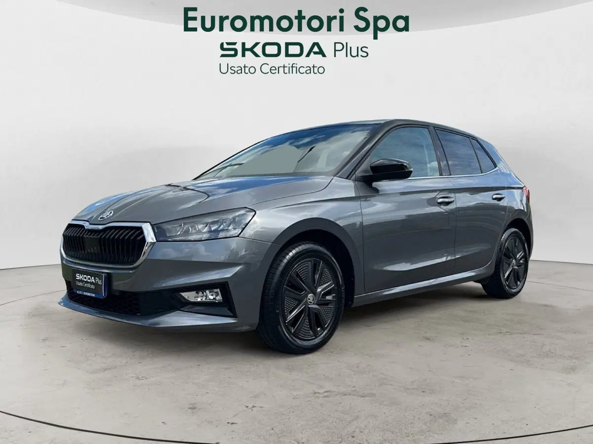 Skoda Fabia usata a Grosseto