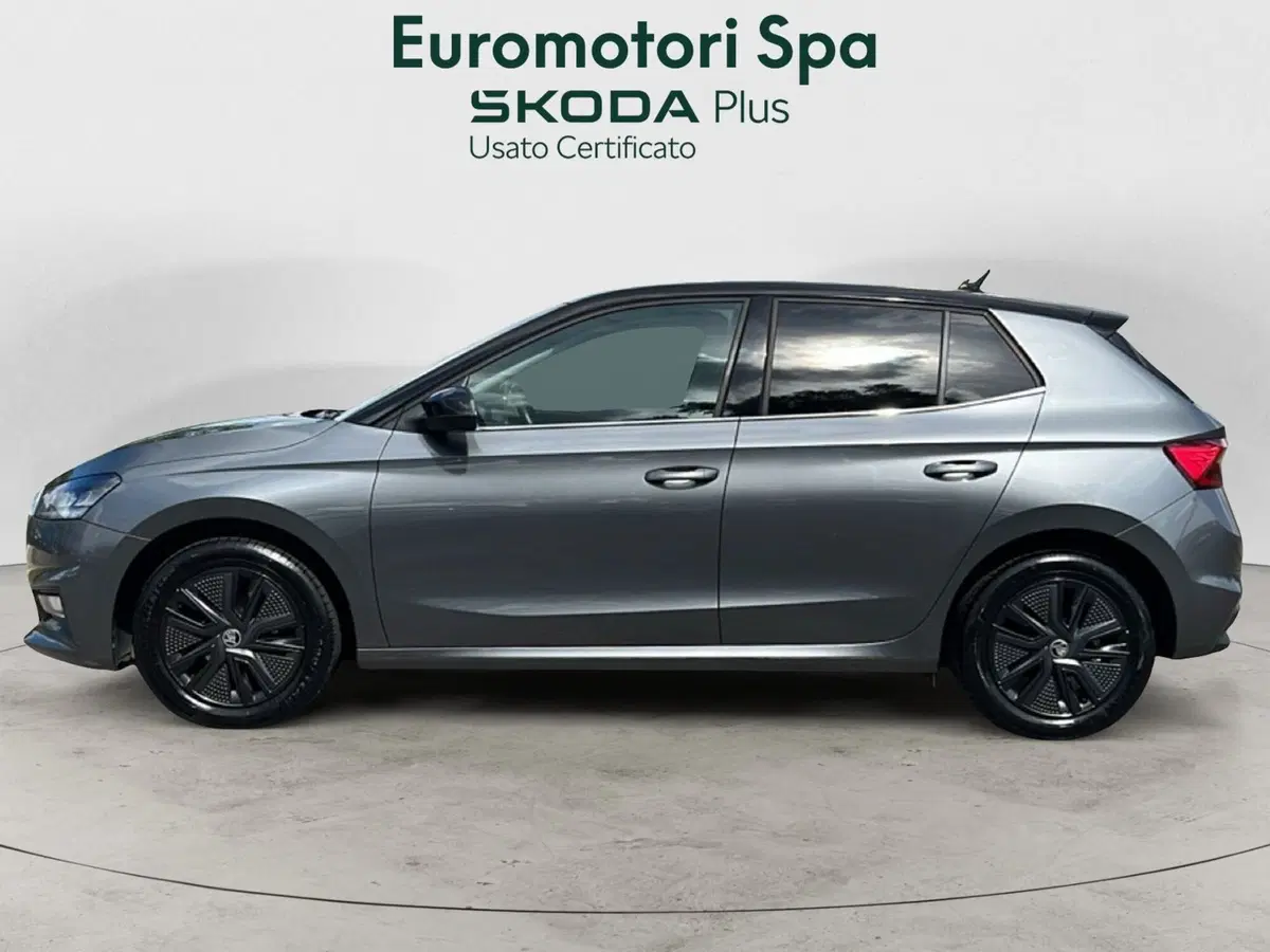 Skoda Fabia usata a Grosseto (2)
