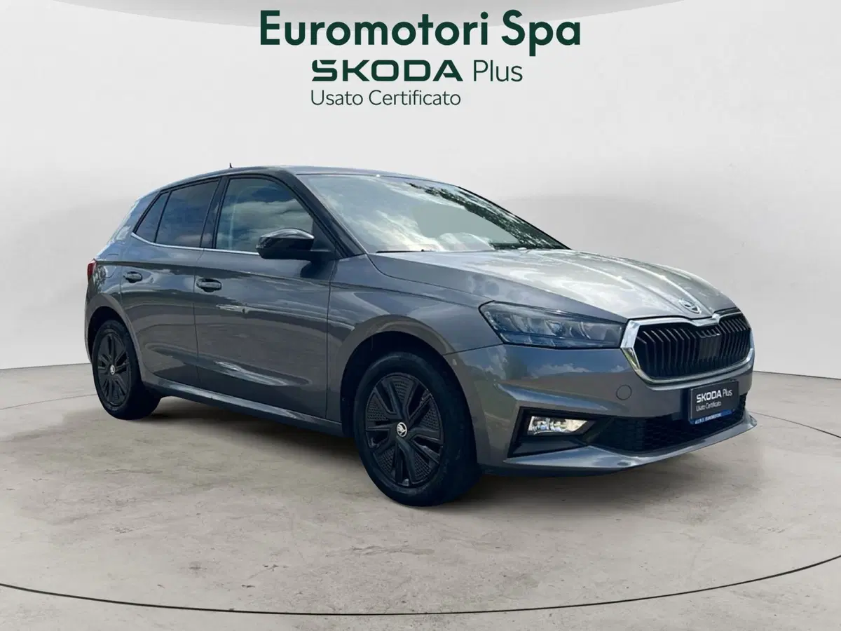 Skoda Fabia usata a Grosseto (7)