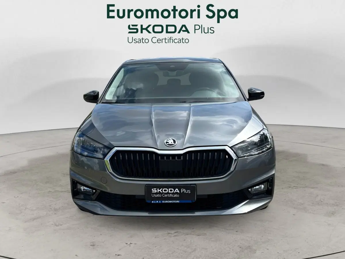 Skoda Fabia usata a Grosseto (8)