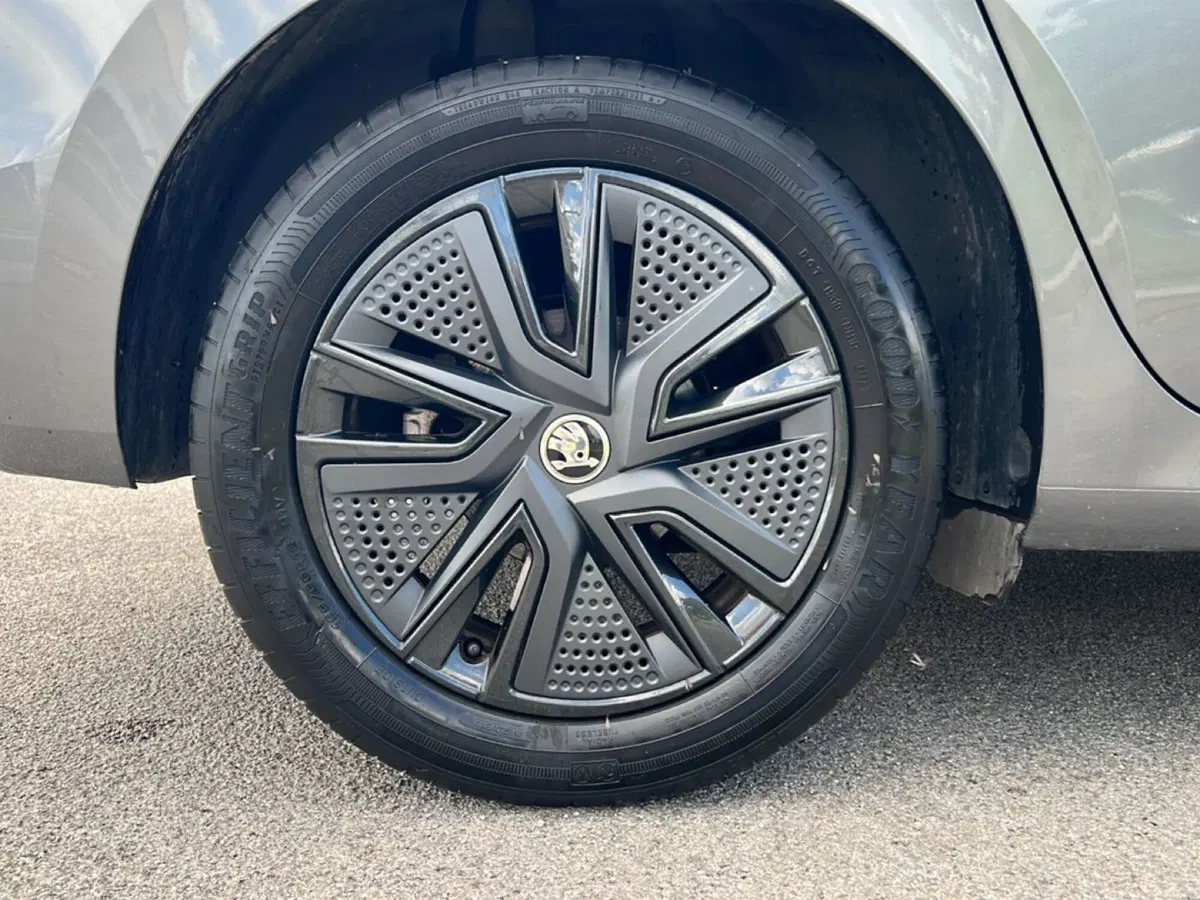 Skoda Fabia usata a Grosseto (9)