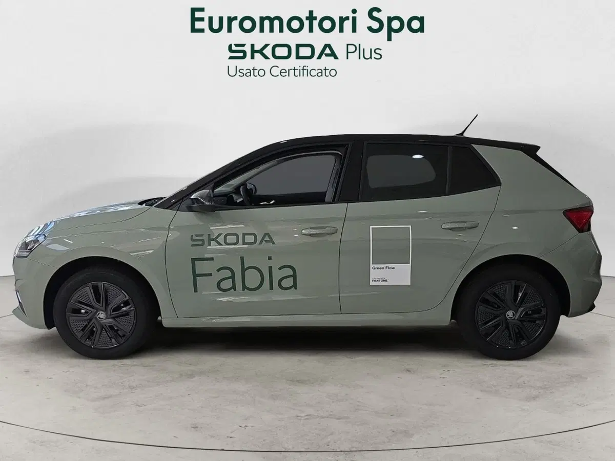 Skoda Fabia nuova a Grosseto (2)