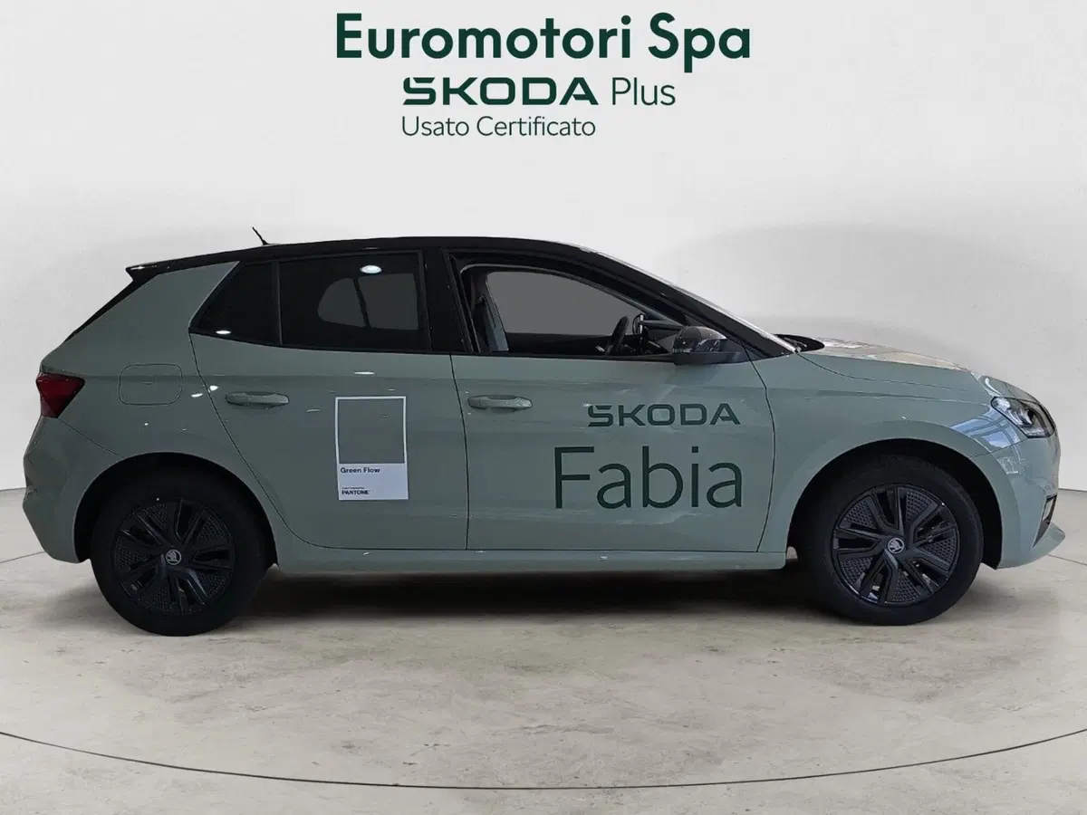 Skoda Fabia nuova a Grosseto (3)