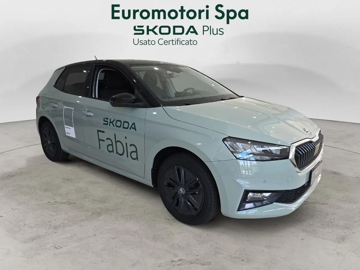 Skoda Fabia nuova a Grosseto (4)