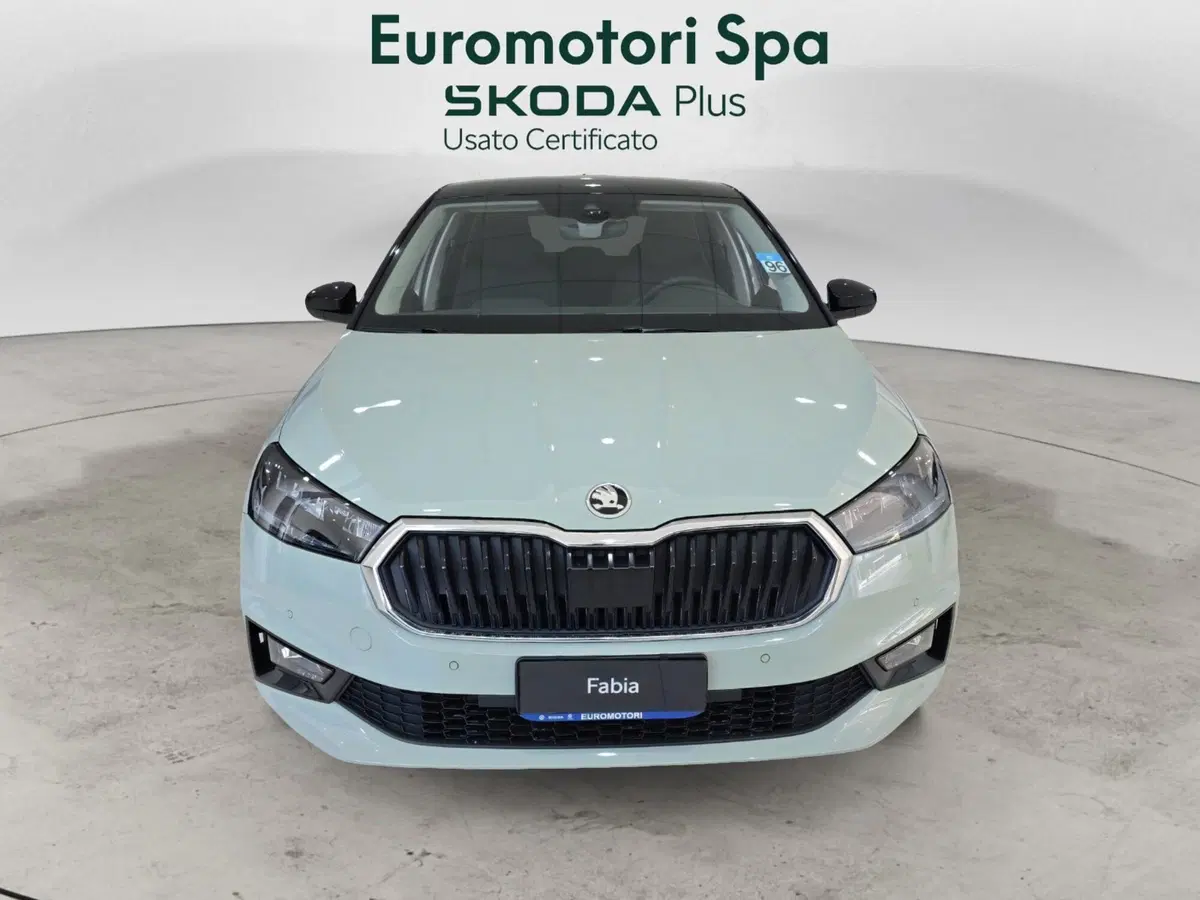 Skoda Fabia nuova a Grosseto (5)