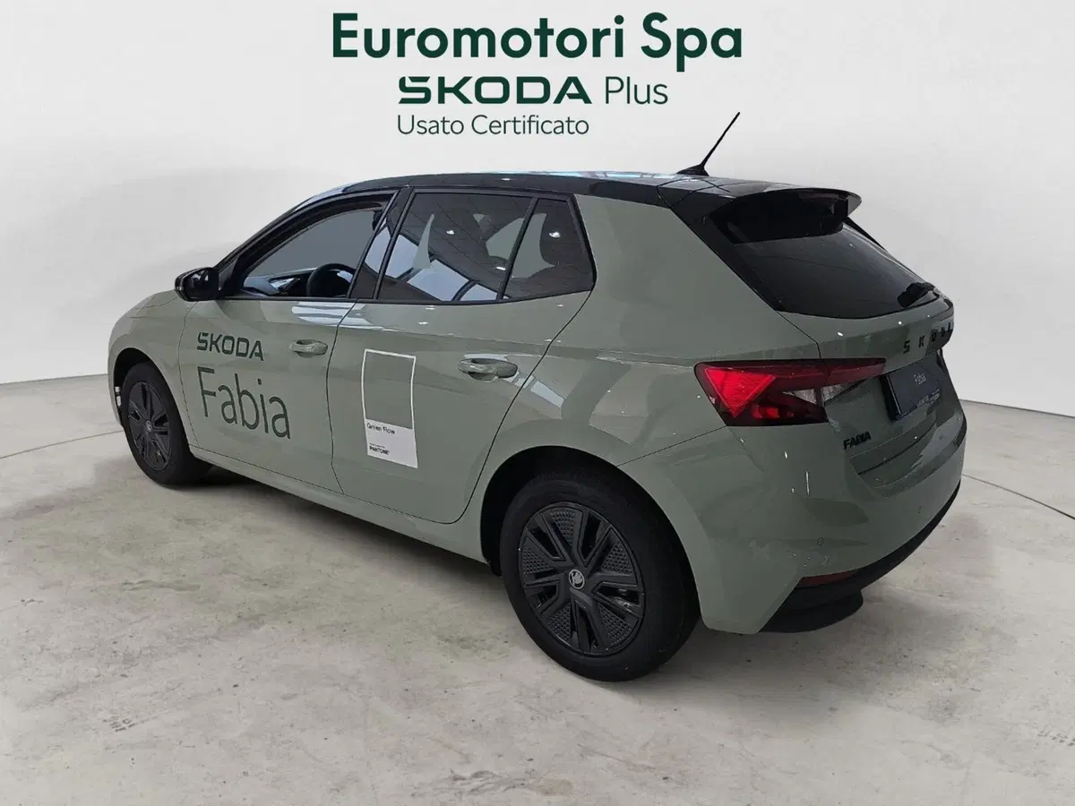 Skoda Fabia nuova a Grosseto (6)