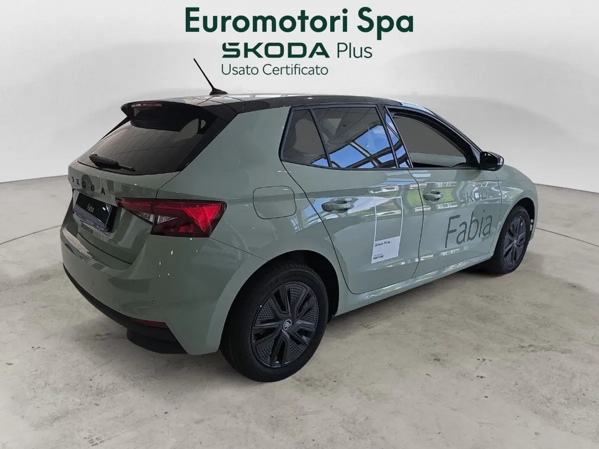 Skoda Fabia nuova a Grosseto (8)