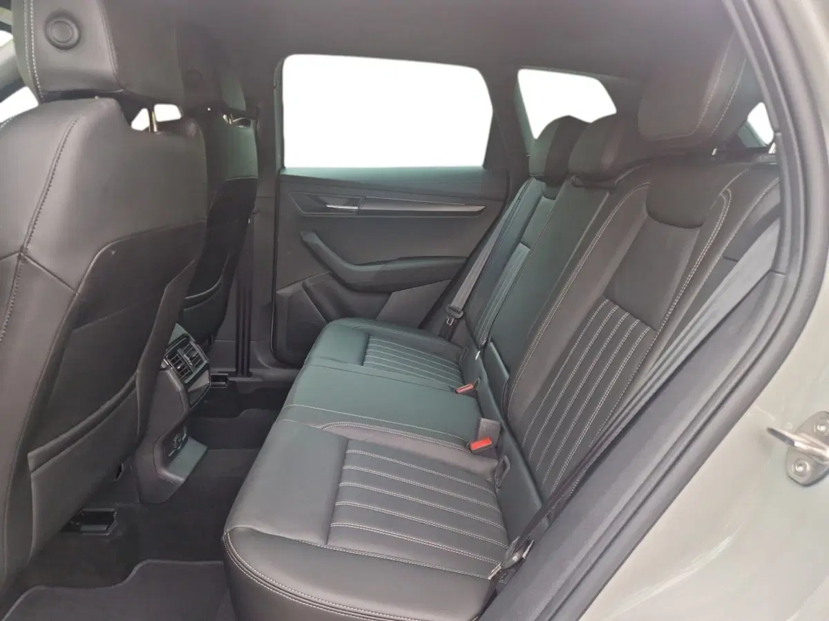 Skoda Karoq usata a Siena (12)