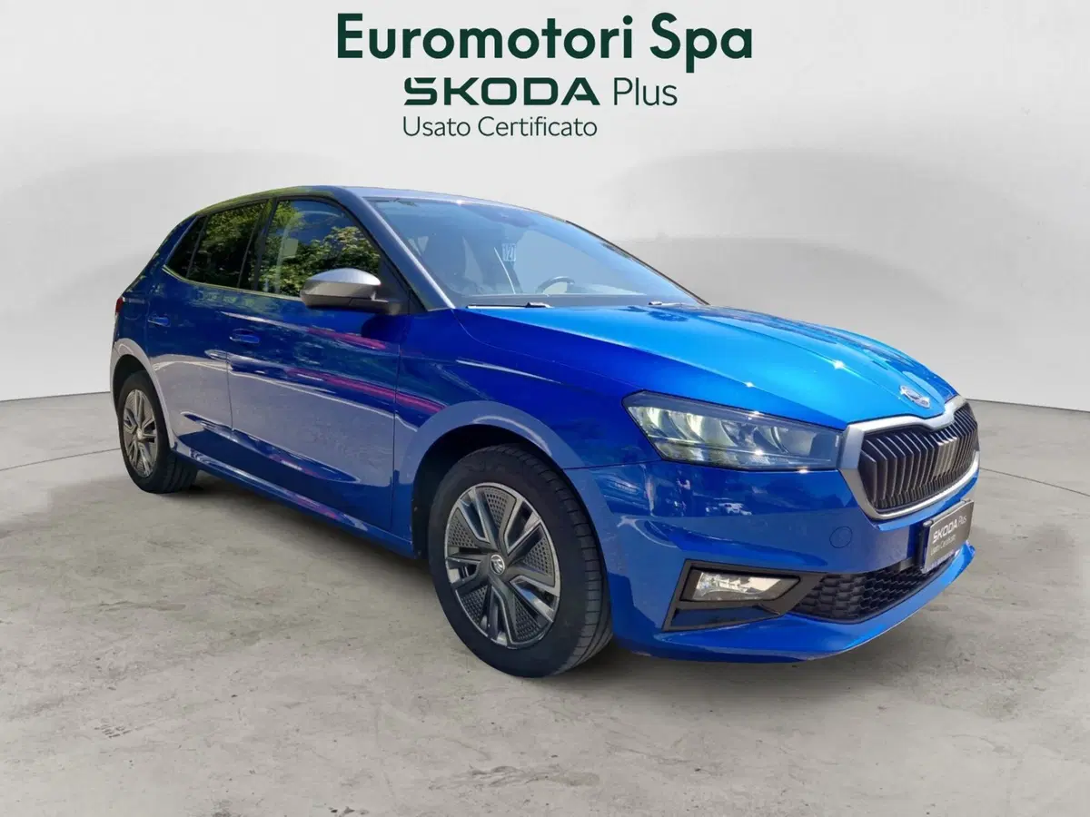 Skoda Fabia usata a Siena (7)